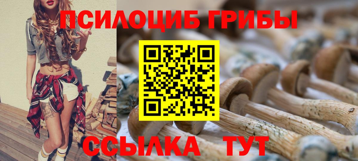 Псилоцибиновые грибы Psilocybe Среднеуральск